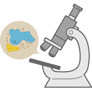 Procobi, servicio, evaluación microbiológica